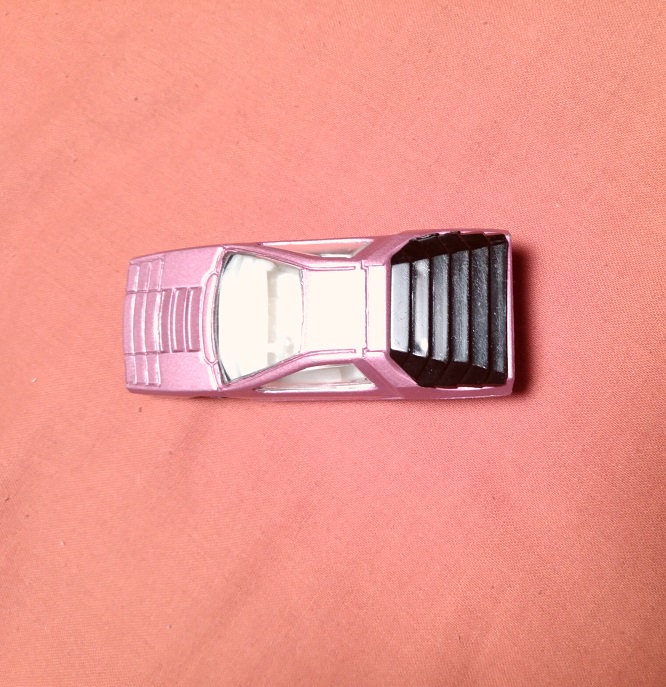 PINK MATCHBOX LOOKALIKE AGUTI FROM ARGENTINA