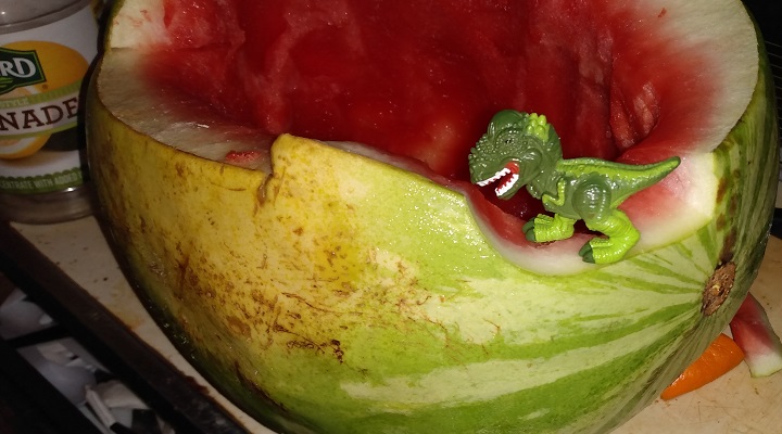 DINOSAURS EATING A WATERMELON