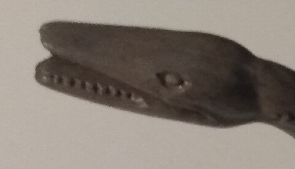 HEAD OF MARX KRONOSAURUS