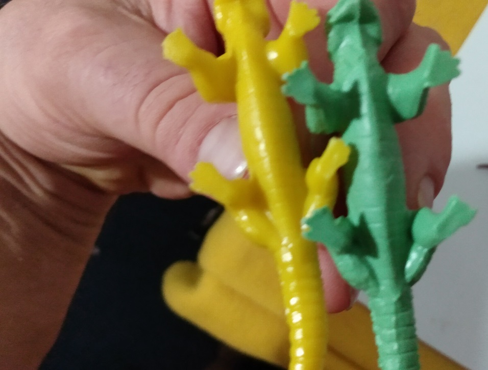 UNDERSIDE OF MARX DIMETRODONS SHOWING DIFFERENCES