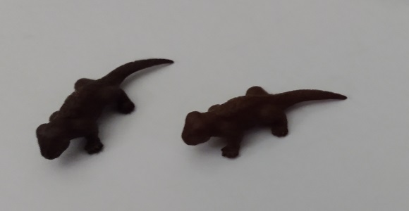 TWO BROWN MARX CYNOGNATHUS