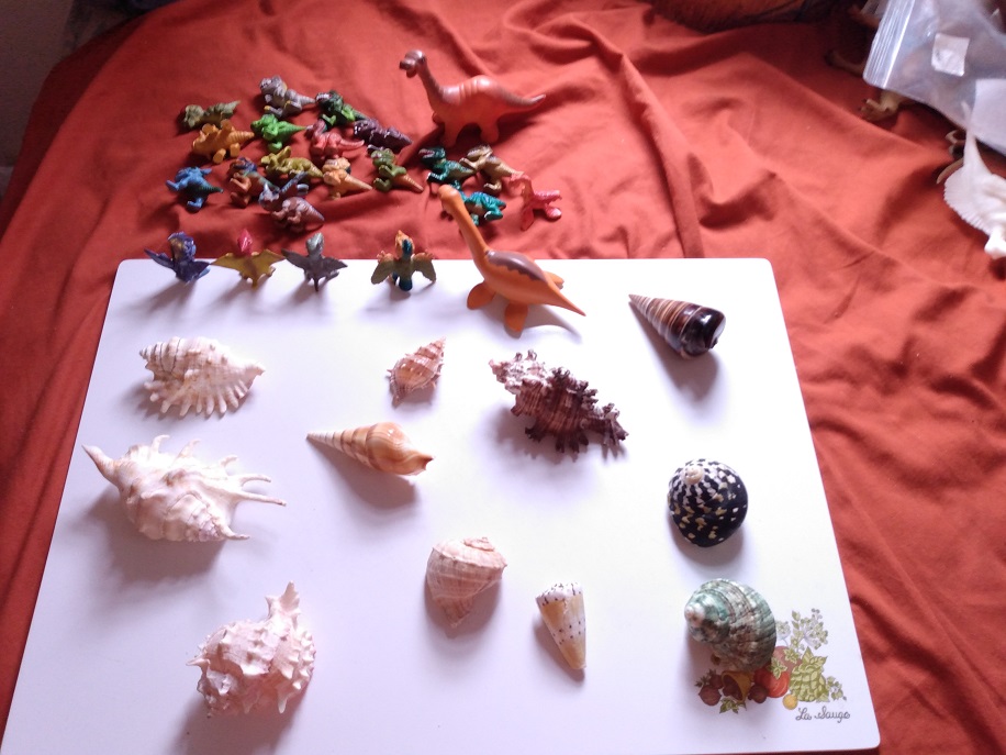 THE SHELLS WITHOUT THE DINOSAURS