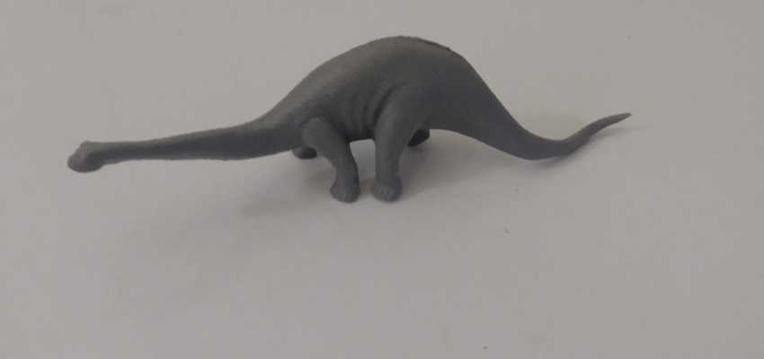 ROM DINOSAURS AND COPIES