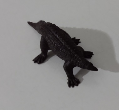 INVICTA SCELIDOSAURUS