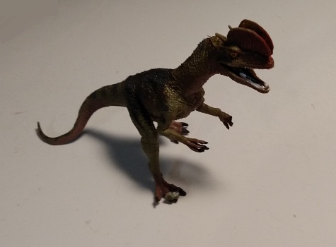 HAOMSJ DILOPHOSAURUS