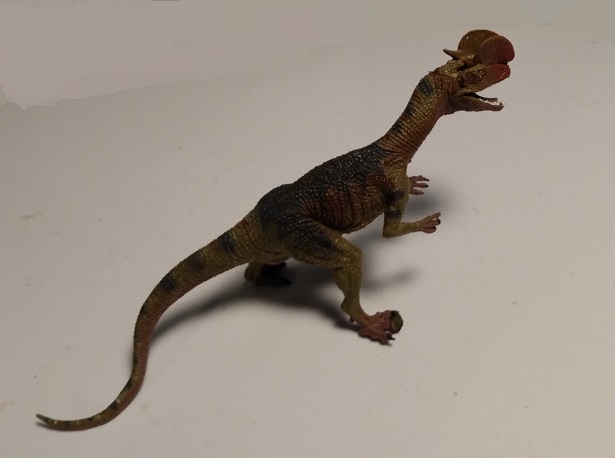 HAOMSJ DILOPHOSAURUS