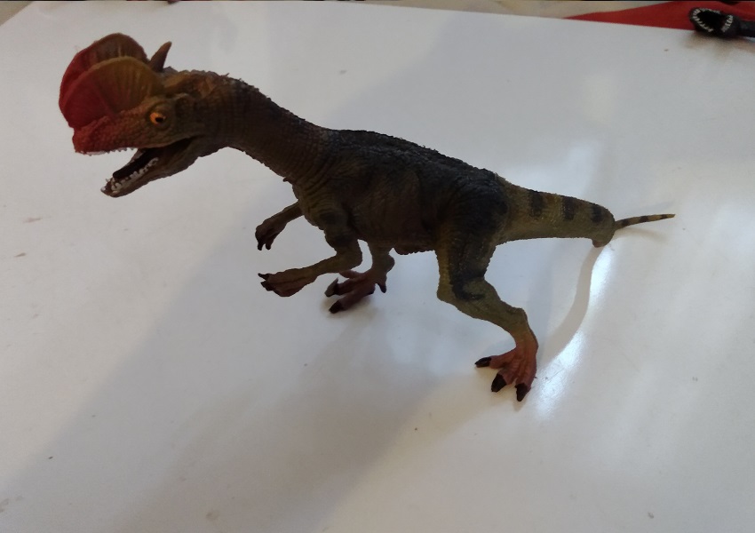 HAOMSJ DILOPHOSAURUS