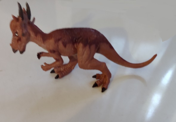 HAOMSJ PACHYCEPHALOSAURUS