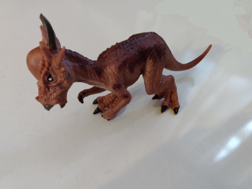 HAOMSJ PACHYCEPHALOSAURUS