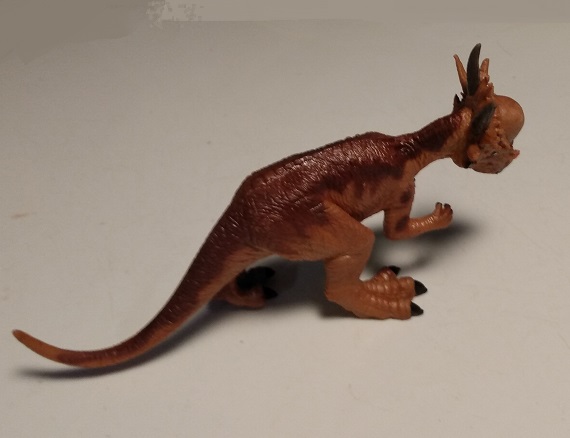 HAOMSJ PACHYCEPHALOSAURUS