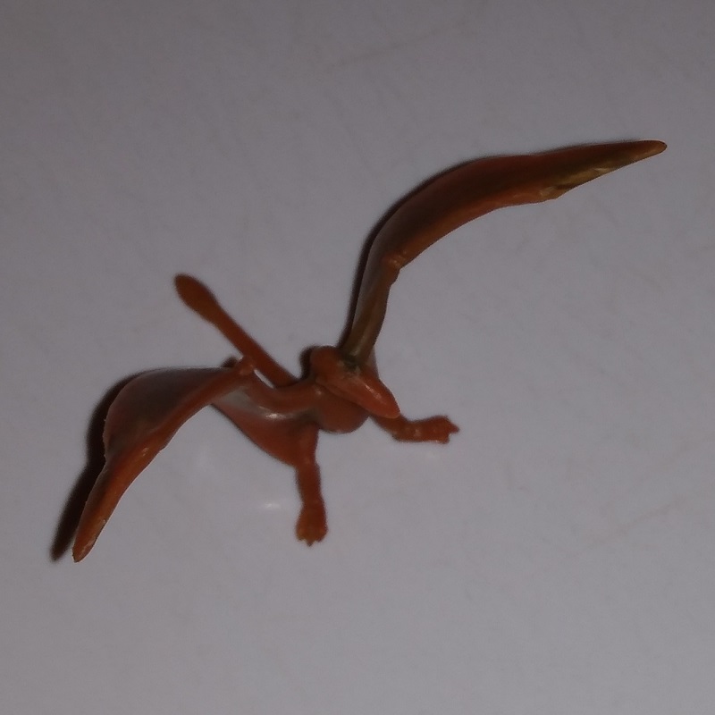 LINDE RHAMPHORHYNCHUS