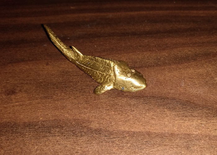 SMITHSONIAN LANIER HEMICYLAPSIS