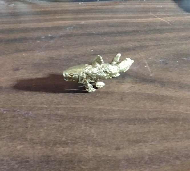 SMITHSONIAN LANIER COELACANTH