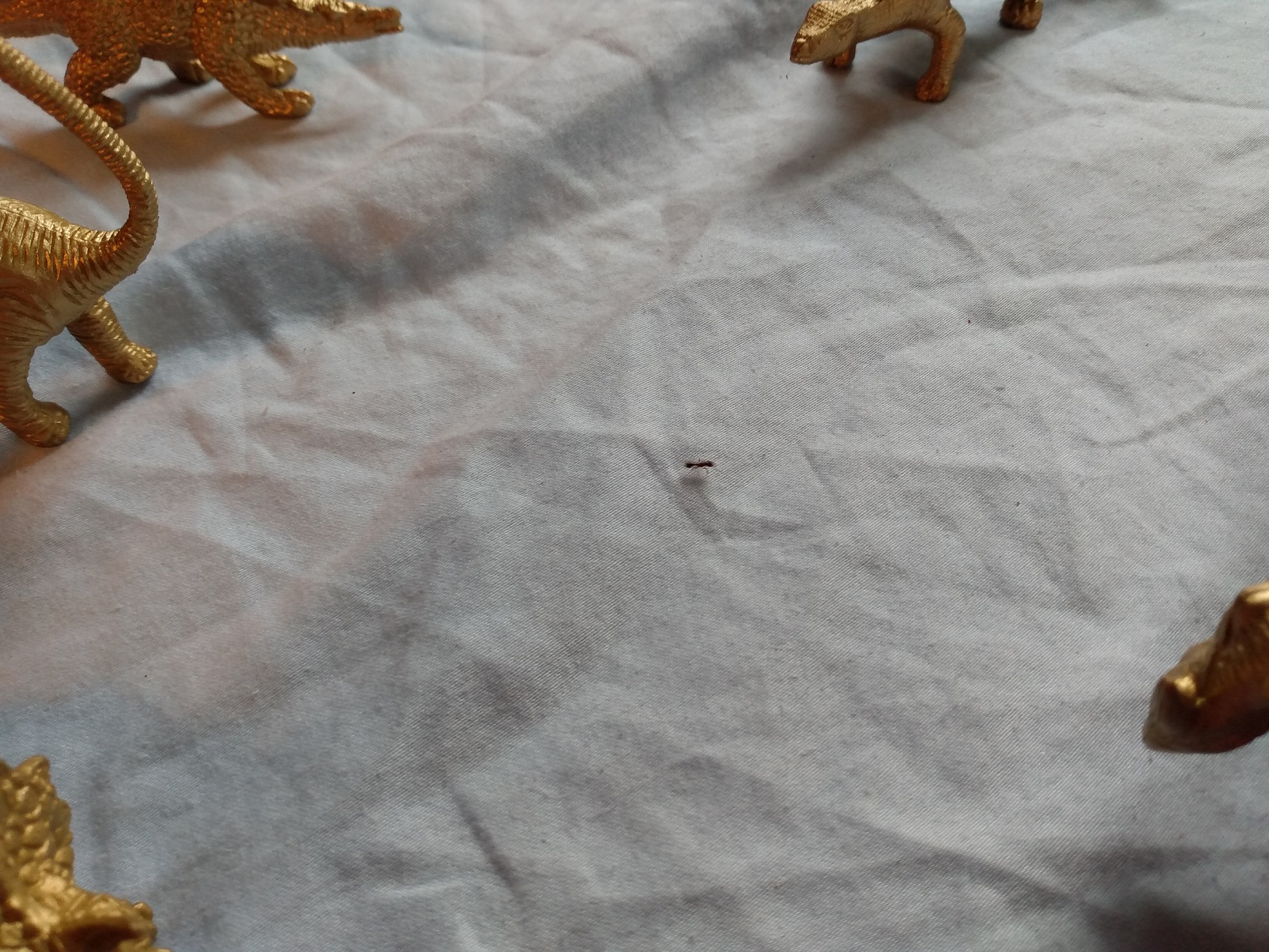 GOLD DINOSAURS AND AN ANT