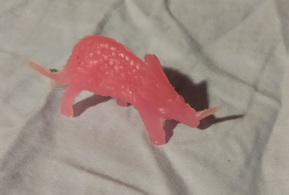 TRANSLUCENT STYRACOSAURUS