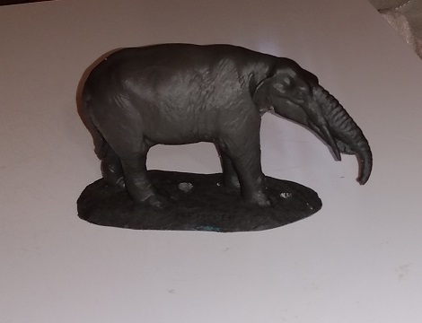 GUMPOTHERIUM ANGUSTIDENS