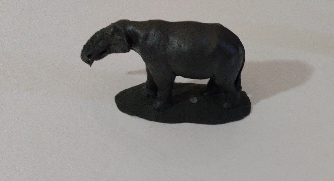 GUMPOTHERIUM ANGUSTIDENS