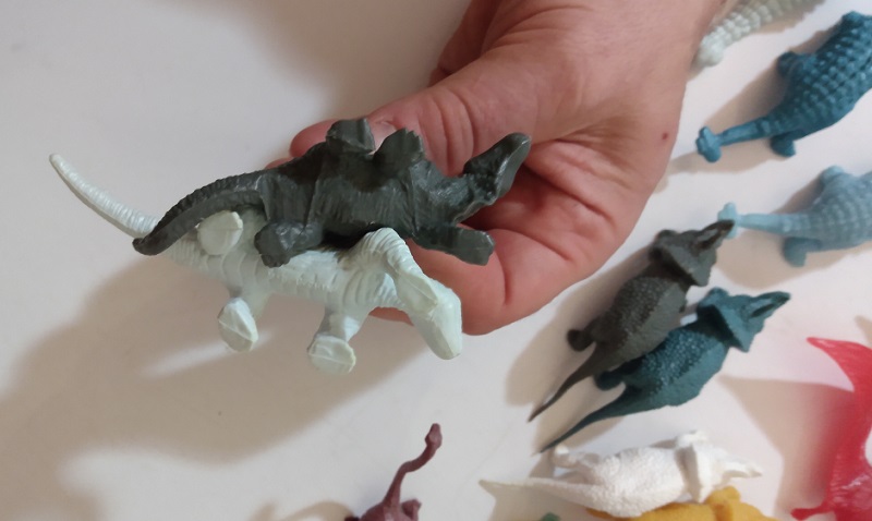 UPSIDE DOWN VIEW OF DIMETRODONS