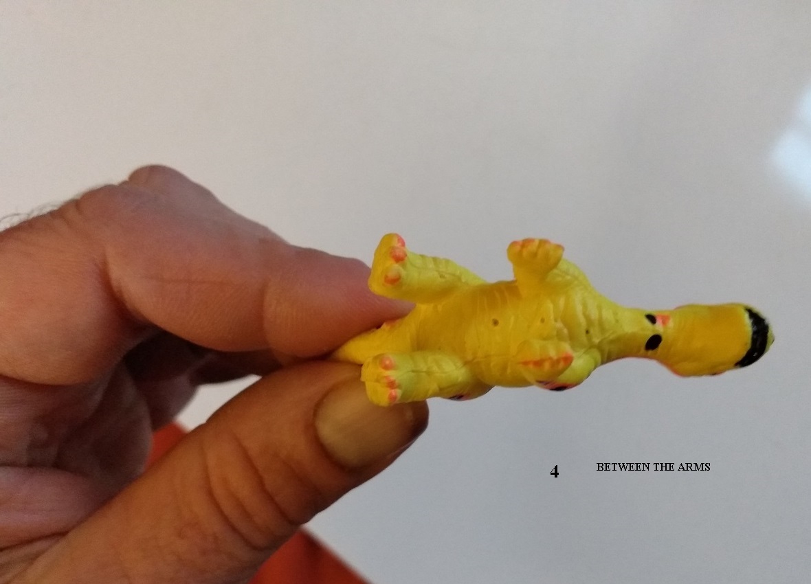 CERATOSAURUS UNDERSIDE