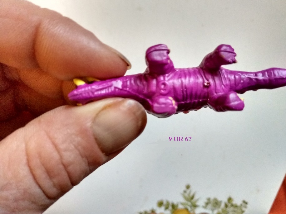 STEGOSAURUS UNDERSIDE