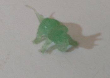 GREEN TRANSPARENT DINOSAUR