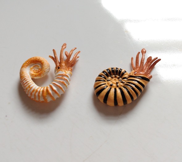 RCOMG CAMBRIAN SEA LIFE
