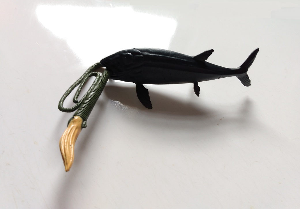 RCOMG CAMBRIAN SEA LIFE