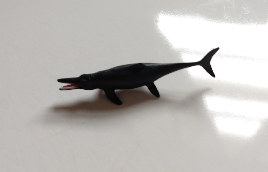 RCOMG CAMBRIAN SEA LIFE