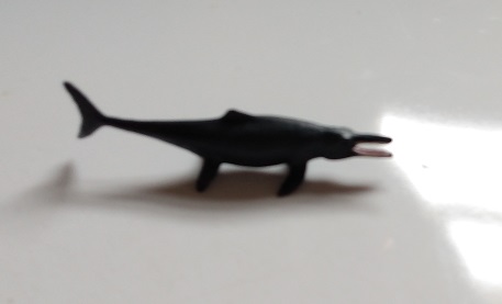 RCOMG CAMBRIAN SEA LIFE