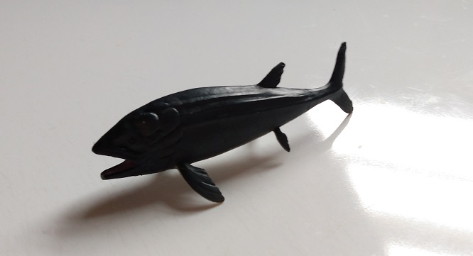 RCOMG CAMBRIAN SEA LIFE