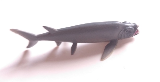 RCOMG CAMBRIAN SEA LIFE