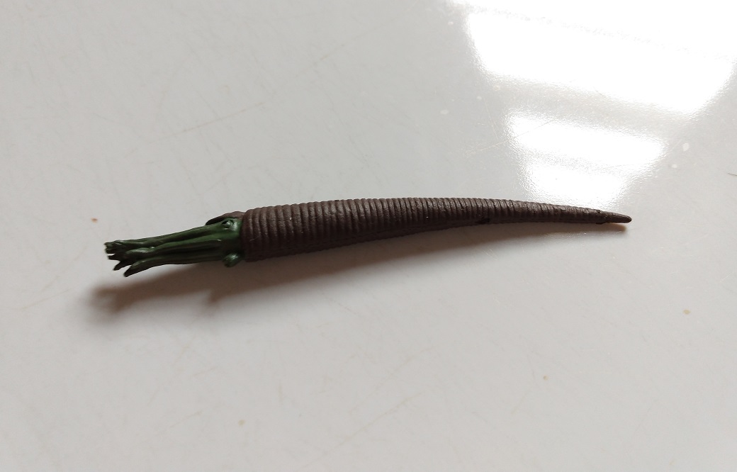 RCOMG CAMBRIAN SEA LIFE