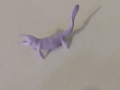 PURPLE SWIMMER