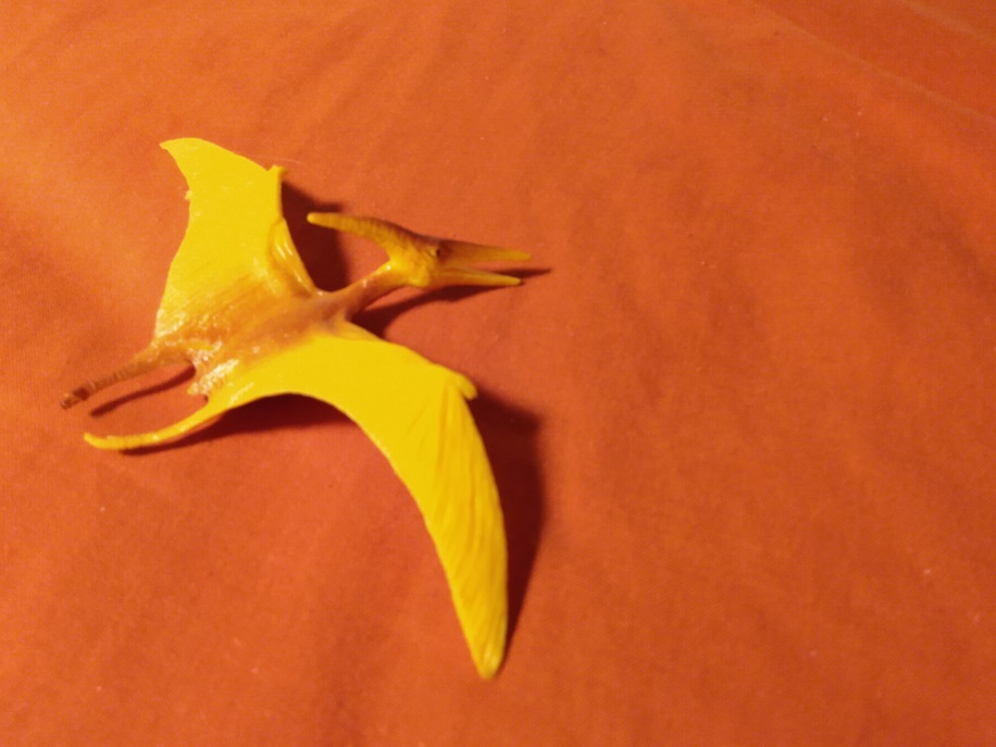 PTERANODON