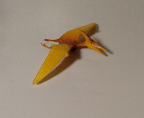 PTERANODON