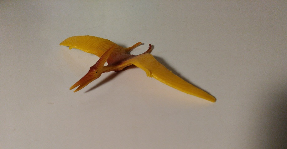 PTERANODON