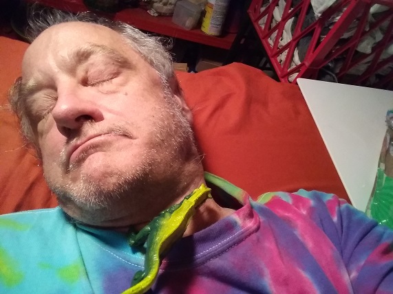 DINOSAUR CHOKED SCOTTY