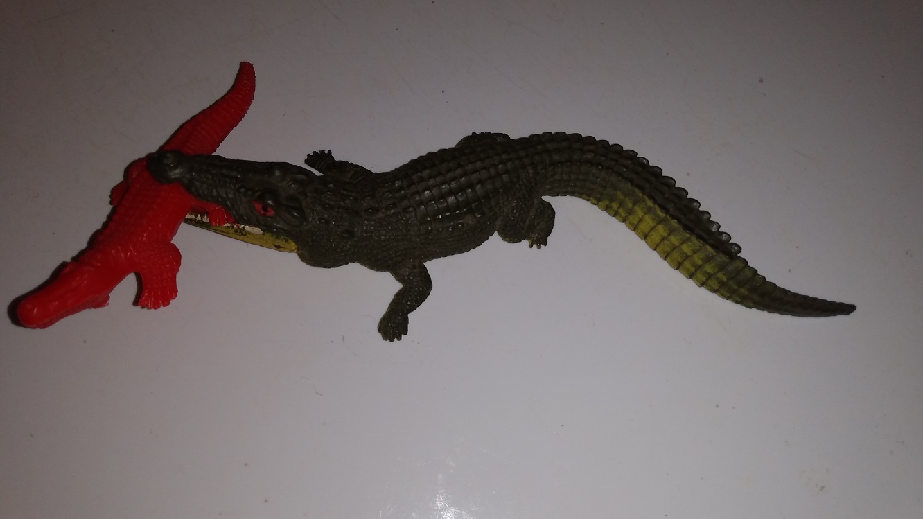 ALLIGATORS AND CROCODILES PLAYING