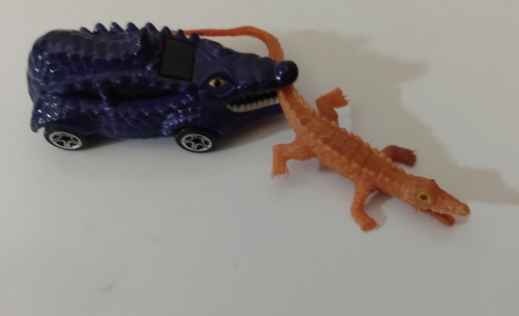 GATORS AND CROCS PLAYING