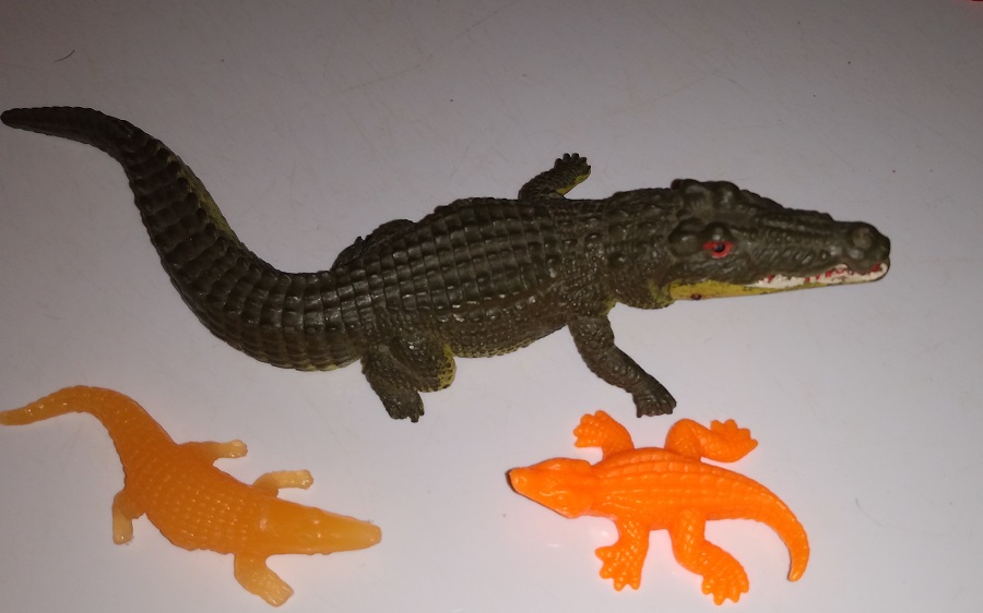 GATORS AND CROCS PLAYING
