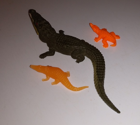 GATORS AND CROCS PLAYING