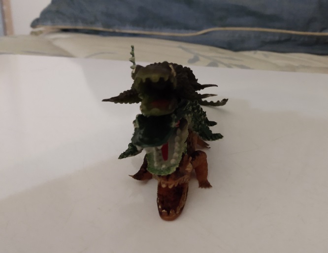 GATORS AND CROCS PLAYING