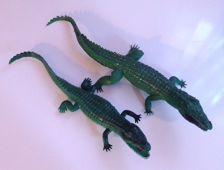 ALLIGATORS AND CROCODILES