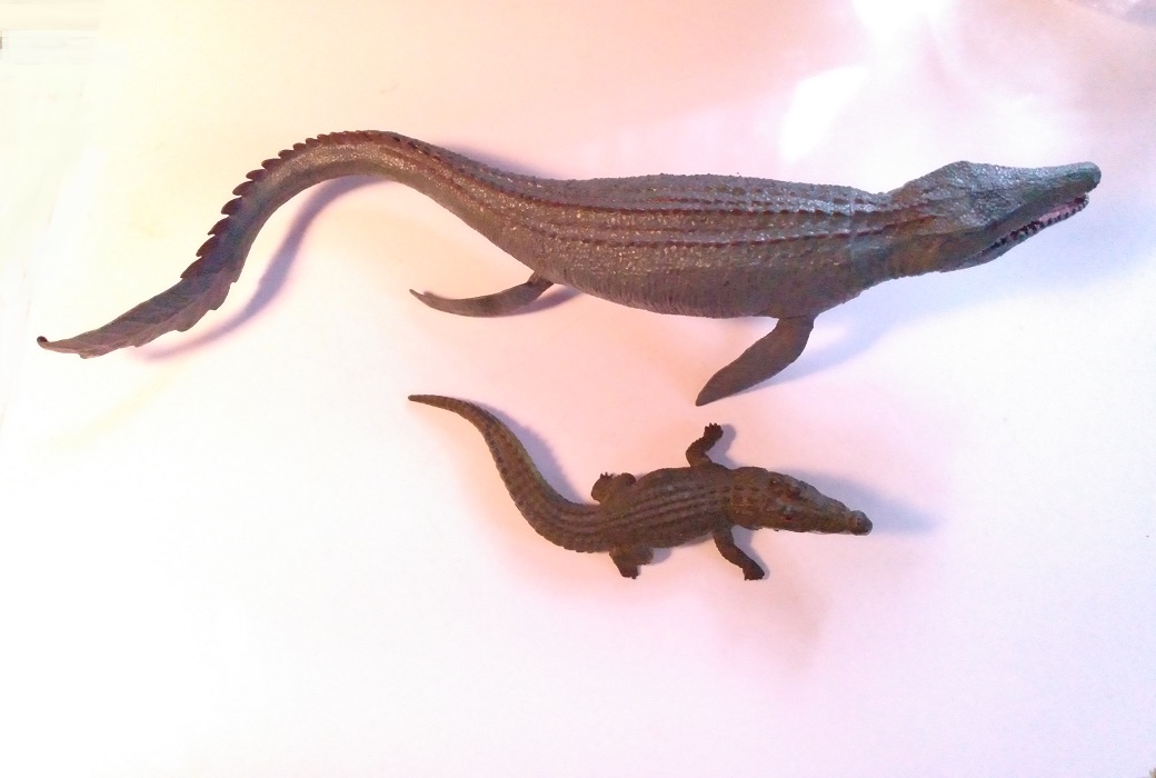 GATOR LOOKING MOSASAURUS