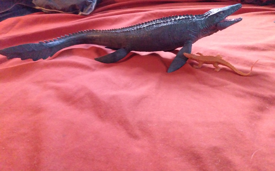 GATORS AND CROCS KEPT ON FIGHTING THE INTRUDER