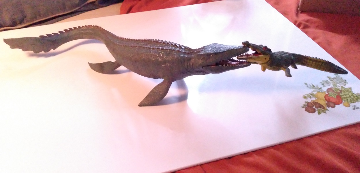 GATORS AND CROCS  FIGHTING THE INTRUDER