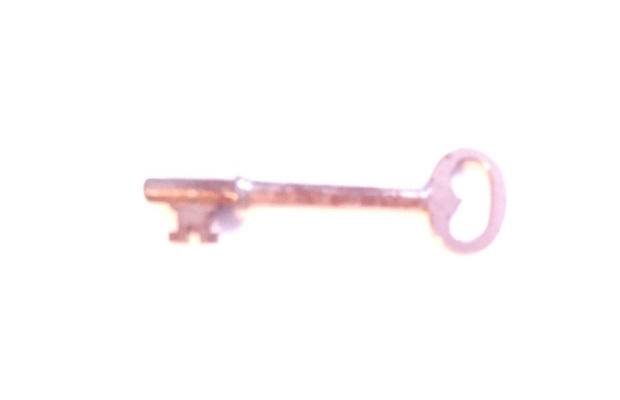 SKELETON KEY