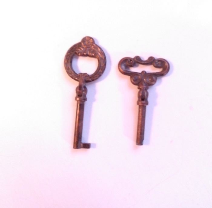 FOLDABLE SKELETON KEYS