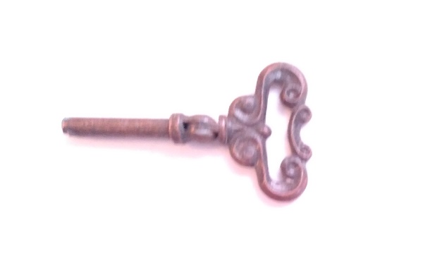 FOLDABLE SKELETON KEY