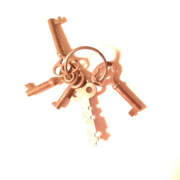 SKELETON KEYS